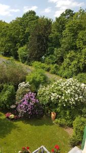 einen Garten mit rosa und weißen Blumen im Gras in der Unterkunft Appartementwohnung Antonia in Düsseldorf