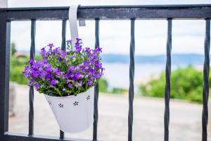 a bucket of purple flowers hanging on a fence at Apartments Stasic in Vrbnik