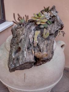 Fotografie z fotogalerie ubytování Hotel Palagi v destinaci Pietrasanta