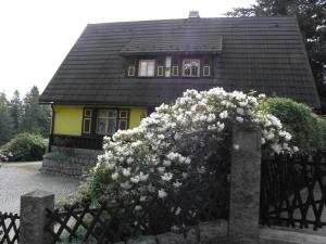 Vonkajšia záhrada v ubytovaní Dom jak dawniej