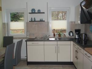 a kitchen with a sink and two windows at Ferienwohnung am Schloßberg in Arnstadt