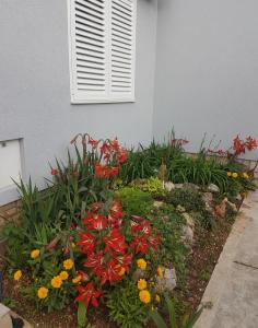 Zahrada ubytování APARTMENTS LUMA 1