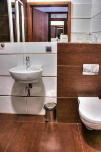a bathroom with a sink and a toilet at Hotel Olecki in Oświęcim