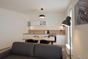 Gallery image of Lakepark Residence in Staré Splavy