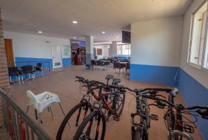 Jazda na bicykli v okolí ubytovania Apartamentos AR Muntanya Mar