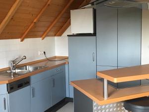 eine Küche mit blauen Schränken und einem Waschbecken in der Unterkunft Haus am Südfrüchtegarten in Rhodt unter Rietburg