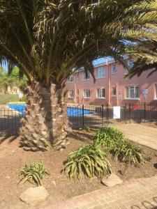 ペイントンにあるEsplanade Court Apartment with communal seasonal heated poolのピンクの建物前のヤシの木