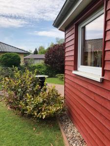 Zahrada ubytování Ostseebungalow-Peters + 8 fotografií