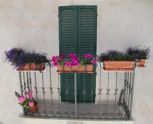 a green shutter and two potted plants on a balcony at Affittacamere A Modo Mio in Foligno
