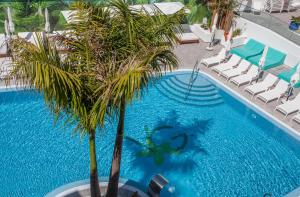 an overhead view of a swimming pool with chairs and a palm tree at Vanilla Garden Boutique Hotel - Adults Only in Playa de las Americas