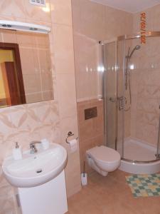 La salle de bains est pourvue d'une douche, de toilettes et d'un lavabo. dans l'établissement Ave Łagiewniki, à Cracovie