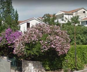 Um jardim no exterior de Guesthouse Mixe