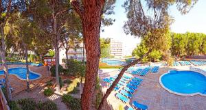 Pemandangan kolam renang di MLL Palma Bay Club Resort atau di dekatnya