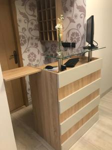 TV a/nebo společenská místnost v ubytování Apartmani CENTAR- Smederevo