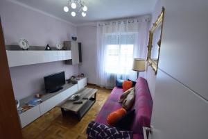 Gallery image of Apartamento Manzanera in Logroño