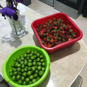Cibo presso l'affittacamere o nelle vicinanze