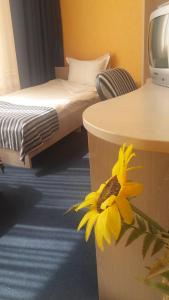 Habitación con cama y una flor amarilla en el suelo en Hotel Perfect, en Yamna