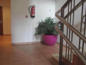 Fotografia z galérie ubytovania Hostal El Estudio v destinácii Almansa