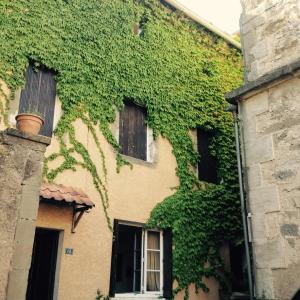 un bâtiment recouvert de lierre avec des fenêtres et une plante dans l'établissement Maison près Cité de Carcassonne, à Villalier