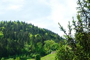 Paesaggio naturale nelle vicinanze dell'hotel