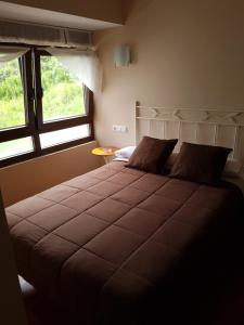 圣维森特-德拉巴尔克拉Hostal Arenal的一间带一张大床和两扇窗户的卧室