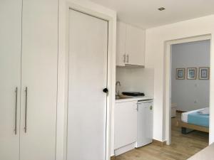 A kitchen or kitchenette at Alegria Kefalonia