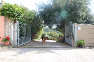 Fotografie z fotogalerie ubytování rita v destinaci Sassari
