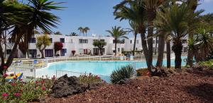 a swimming pool with palm trees and a building at Apartamento junto a la playa. Corralejo in Corralejo