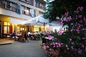Restaurace v ubytování Hotel Miramare