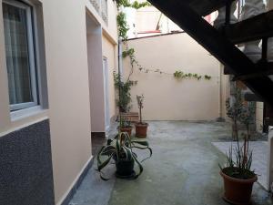 Fotografie z fotogalerie ubytování Guesthouse in Batumi v destinaci Batumi
