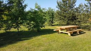 una mesa de picnic de madera en un campo con árboles en Domeikavos vila en Ražiai