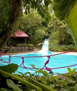 Poolen vid eller i närheten av Platon Ecolodge