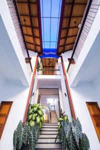 an indoor staircase with potted plants in a building at Hikka Boutique in Hikkaduwa