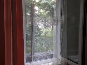 Zahrada ubytování Guesthouse in Batumi
