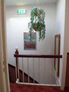 Mynd úr myndasafni af Staten Hotel í Haag