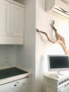 Foto dalla galleria di Porto Rotondo Lovely Apartment a Porto Rotondo