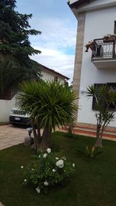 A garden outside Sole D'oro IUN S4354