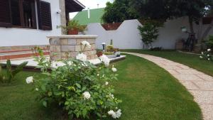 A garden outside Sole D'oro IUN S4354
