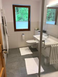 シモンスヴァルトにあるGasthaus Zur Erleのバスルーム(トイレ、洗面台付)、窓が備わります。