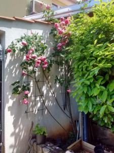 Fotografie z fotogalerie ubytování Villa AnaAngela v destinaci Malinska