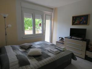 TV a/nebo společenská místnost v ubytování Apartman Snjeska