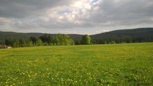 Príroda v okolí apartmánu