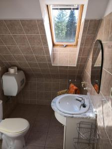 Koupelna v ubytování Ubytování u Máchova jezera - Apartmány - Ludmila Grulišová