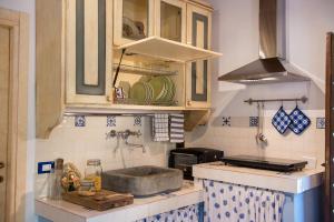 eine Küche mit einer Spüle und einer Arbeitsplatte in der Unterkunft Fienile Vignanova in Gerfalco