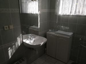 A bathroom at Ubytování u Máchova jezera - Apartmány - Ludmila Grulišová