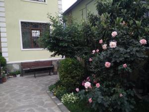 Garður fyrir utan Hotel Mimino