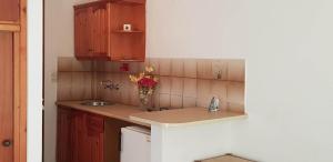 una cocina con fregadero y un jarrón de flores en Ilios Apartments, en Poros