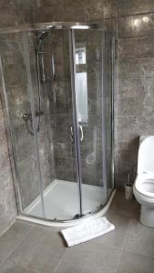 a shower stall in a bathroom with a toilet at Number 4 in Derry Londonderry
