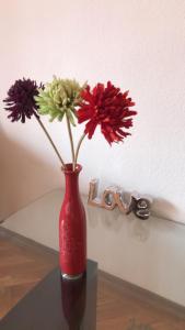 ブダペストにあるBelle apartmentのテーブルの上に花の入った赤い花瓶