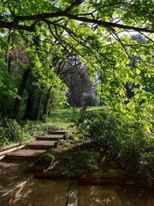 een pad in een park met bomen en gras bij Les Buis de Boscherville Gite in Hénouville